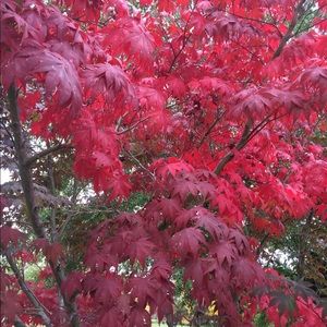 Meet your Posher, Jeffrey